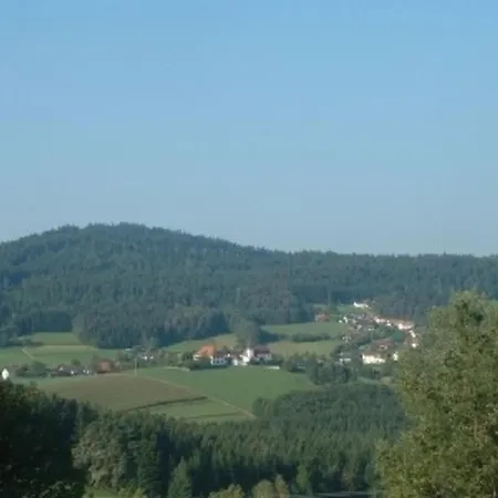 Fewo Prackenbach *