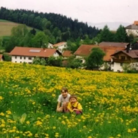 Lägenhet Fewo Prackenbach *