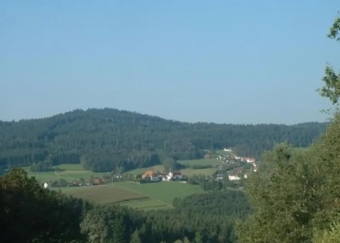 Fewo Prackenbach *